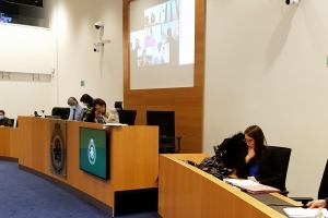 Sophie Wilmès in Federal Parliament